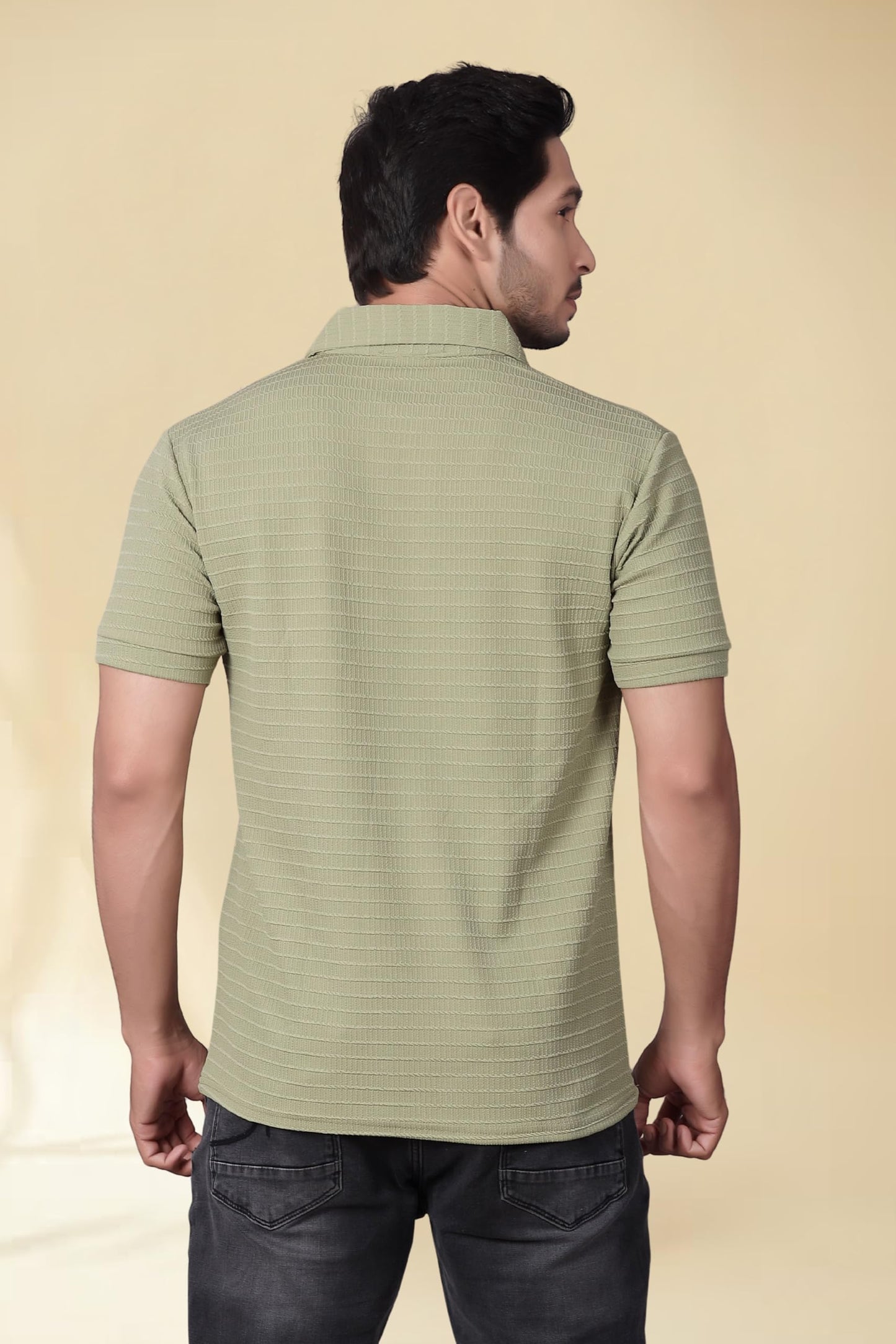 Men's Regular Fit Polo T-Shirt | Half Sleeve | Lightweight Polyester | Pista